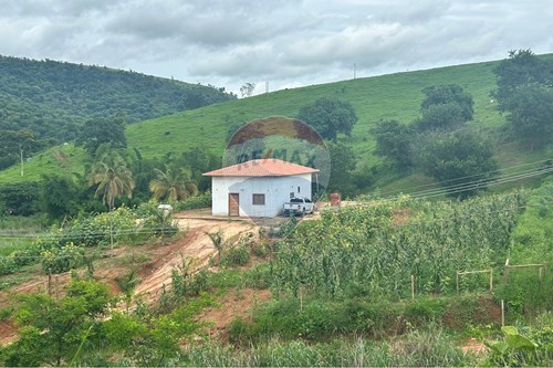 Venda-Chácara / Sítio / Fazenda-Chonin de Baixo , Governador Valadares , Minas Gerais , 35109500-870671017-71