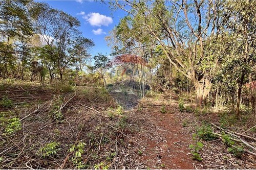 Venda-Terreno-Jardins de Petrópolis , Nova Lima , Minas Gerais , 34015105-870351032-22