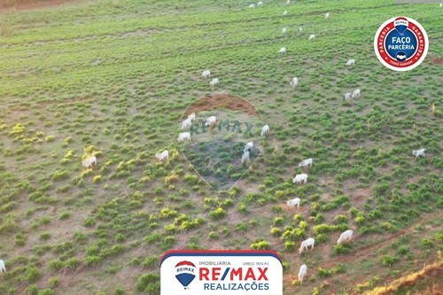 Venda-Chácara / Sítio / Fazenda-Vila Operária , Patos de Minas , Minas Gerais , 3870000-870631011-31