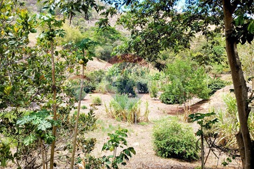 Slider Image Thumbnail