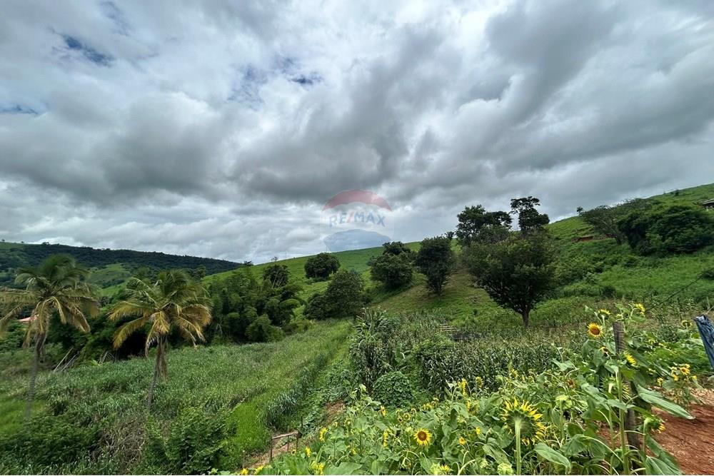 Chácara / Sítio / Fazenda - Venda - Governador Valadares , Minas Gerais - IMG_7899.JPEG - 870671017-71