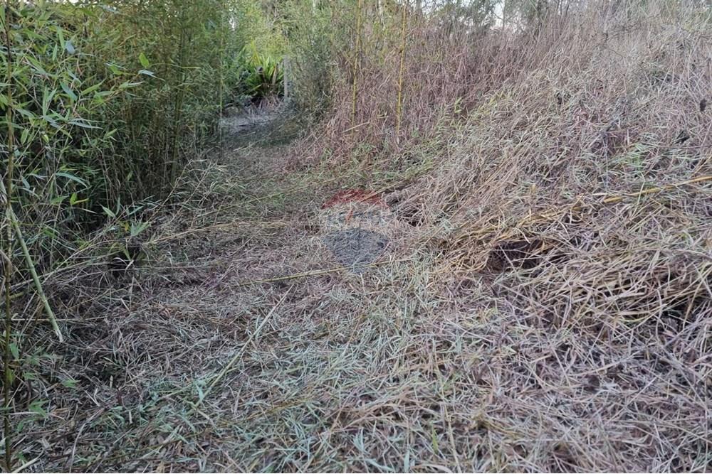 Terreno - Venda - Nova Lima , Minas Gerais - Foto 11.jpg - 870421084-16