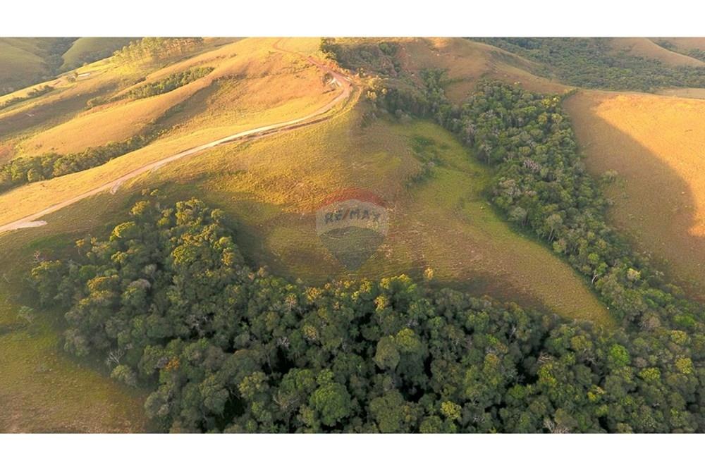 Fazenda - Venda - São Roque de Minas , Minas Gerais - DJI_0045.JPG - 870431039-50