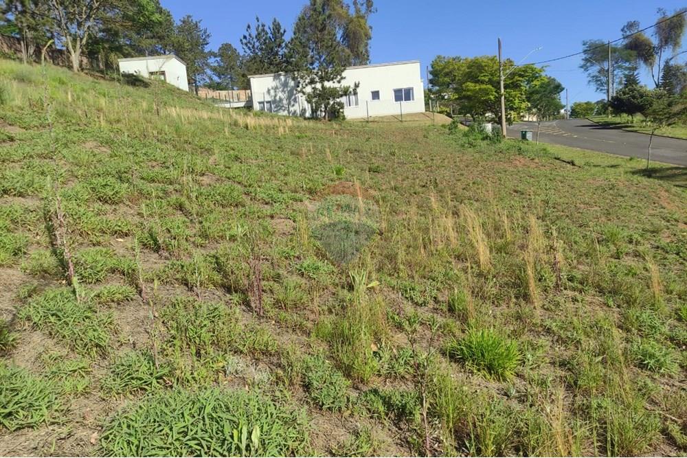 Terreno - Venda - Nova Lima , Minas Gerais - alpha 2.jpeg - 870421035-77