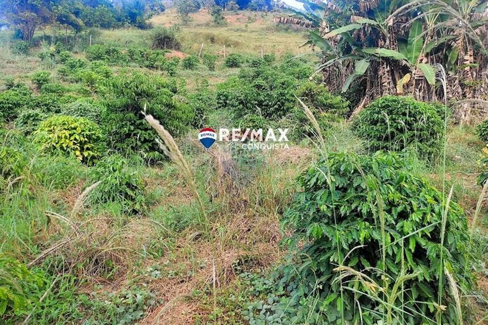 Chácara / Sítio / Fazenda - Venda - Ipanema , Minas Gerais - 4_IMG_20240515_081347_watermark_dom._23062024_100052.jpg - 870451001-121