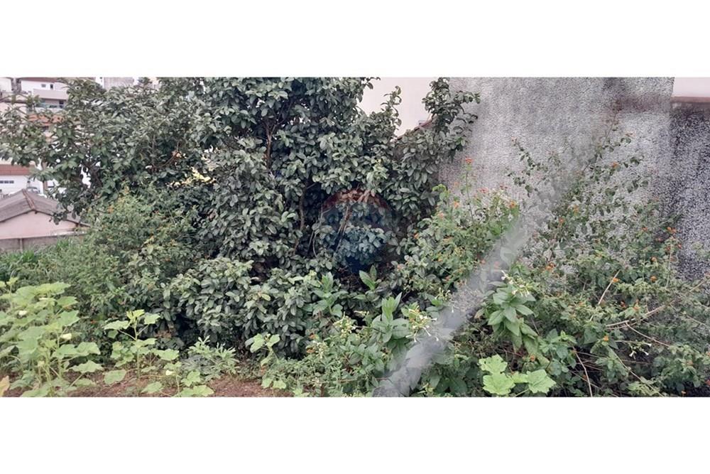 Terreno - Venda - Araxá , Minas Gerais - 20240202_155233.jpg - 870431006-42