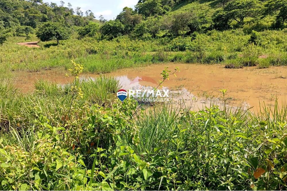 Chácara / Sítio / Fazenda - Venda - Pocrane , Minas Gerais - 7_IMG_20241203_082914_watermark_sex._13122024_135538.jpg - 870451001-114