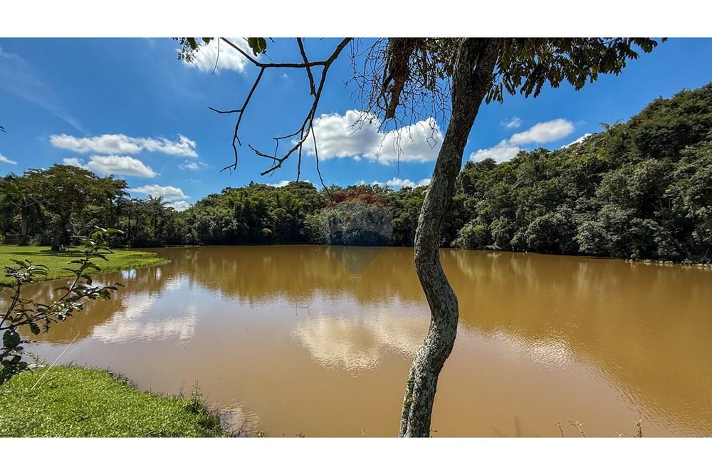 Chácara / Sítio / Fazenda - Venda - Ribeirão das Neves , Minas Gerais - IMG_5232.jpg - 870411116-28