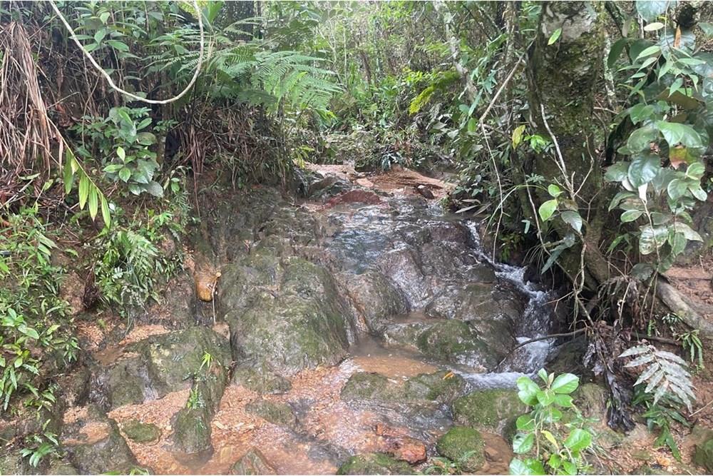 Chácara / Sítio / Fazenda - Venda - Araxá , Minas Gerais - 06.jpg - 870431045-24