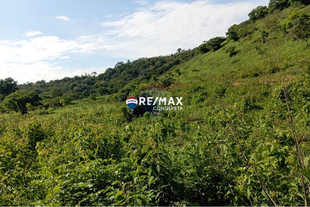 Chácara / Sítio / Fazenda - Venda - Pocrane , Minas Gerais - 0_IMG_20241203_082635_watermark_sex._13122024_135534.jpg - 870451001-114