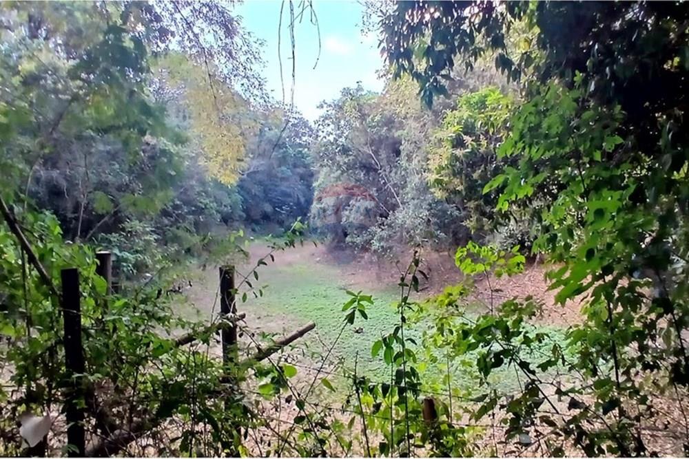 Chácara / Sítio / Fazenda - Venda - Matozinhos , Minas Gerais - 20250903_160036.jpg - 870411101-11