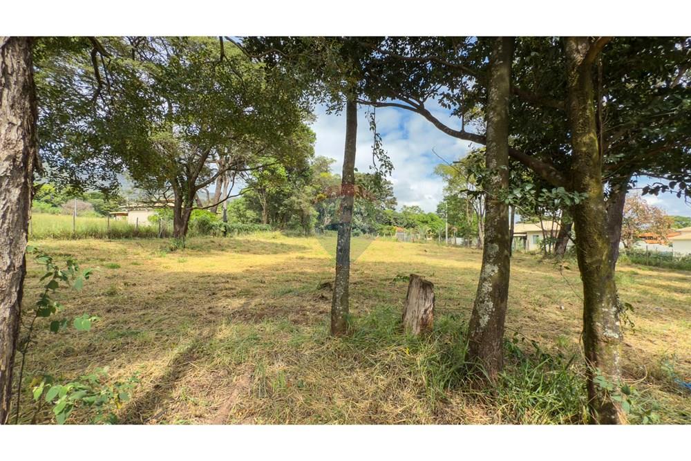 Terreno - Venda - Igarapé , Minas Gerais - IMG_7097.jpg - 870351054-17