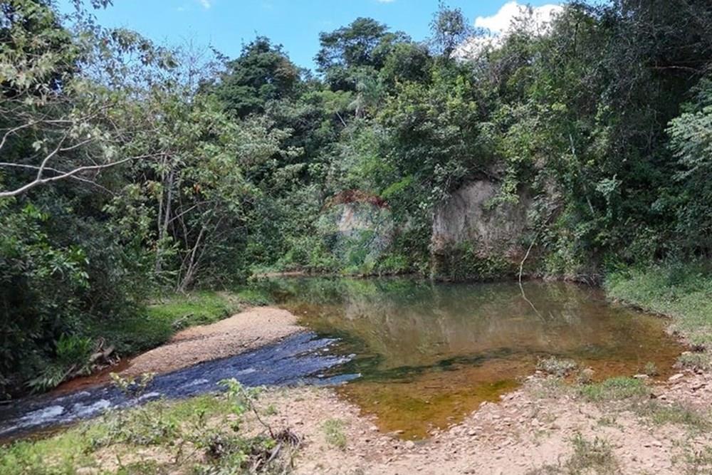 Chácara / Sítio / Fazenda - Venda - Delfinópolis , Minas Gerais - WhatsApp Image 2025-05-01 at 18.25.18.jpeg - 870721003-2