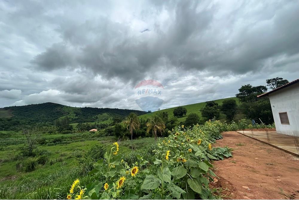 Chácara / Sítio / Fazenda - Venda - Governador Valadares , Minas Gerais - IMG_7900.JPEG - 870671017-71