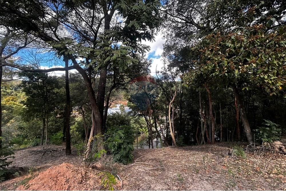 Chácara / Sítio / Fazenda - Venda - Sarzedo , Minas Gerais - lote13006.jpg - 870351054-22