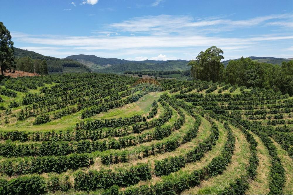 Chácara / Sítio / Fazenda - Venda - São Sebastião da Grama , São Paulo - DJI_0728.JPG - 870361041-98