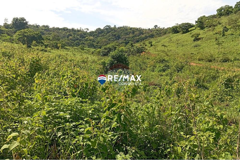 Chácara / Sítio / Fazenda - Venda - Pocrane , Minas Gerais - 1_IMG_20241203_082633_watermark_sex._13122024_134940.jpg - 870451001-114