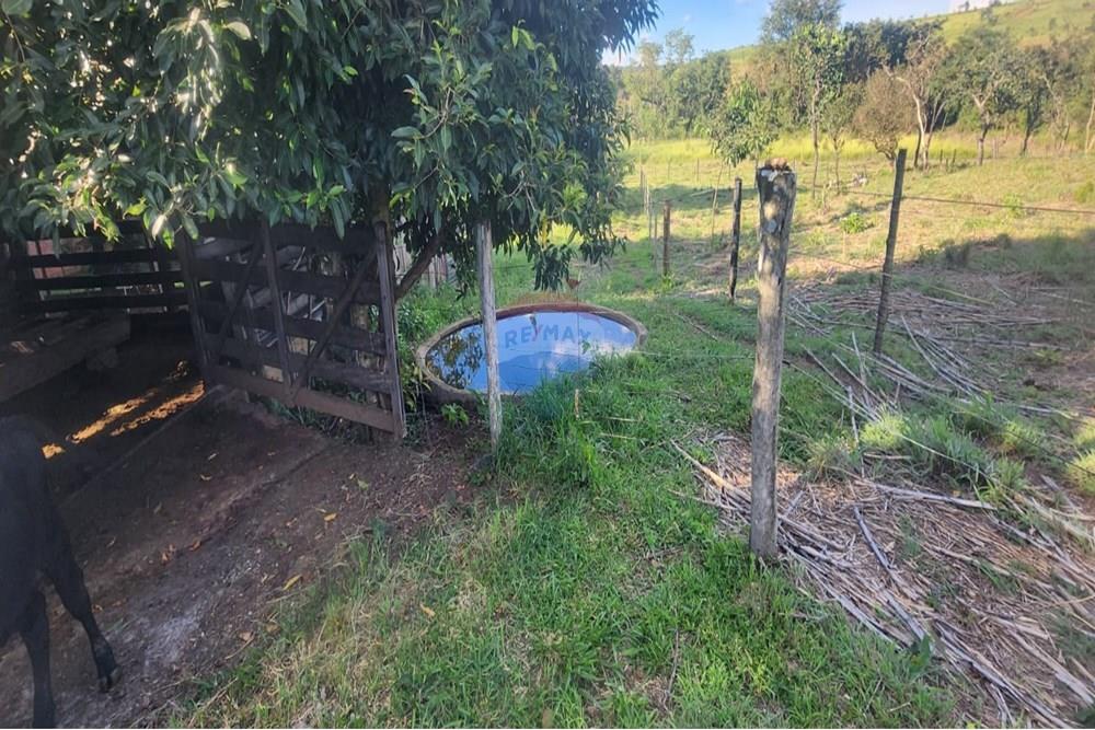 Chácara / Sítio / Fazenda - Venda - Uberaba , Minas Gerais - 15 Sítio Venda 690 mil com 20.300m² em Rio Claro, próximo a Uberaba na Remax 870291025-102.jpg - 870291025-102