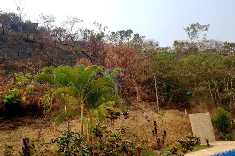 Chácara / Sítio / Fazenda - Venda - Nova Lima , Minas Gerais - Foto Sítio vista da nascente 2° parte campo do Pires.jpg - 870241097-13