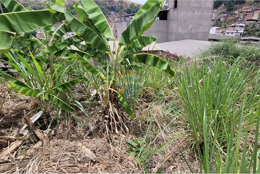 Terreno - Venda - Ipatinga , Minas Gerais - 20251030_114546.jpg - 870711023-22