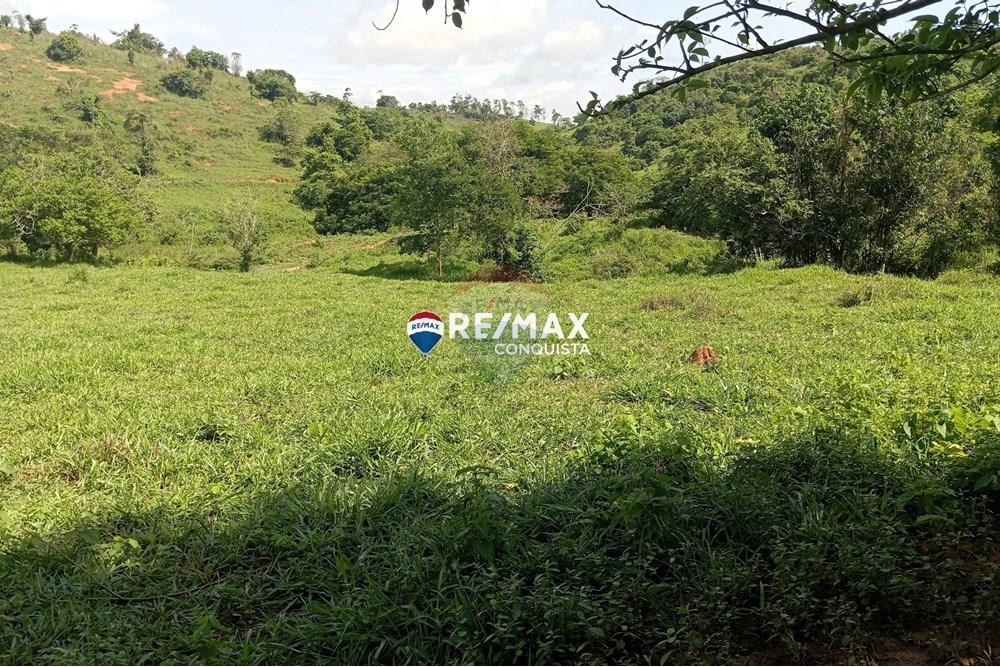 Chácara / Sítio / Fazenda - Venda - Pocrane , Minas Gerais - 0_IMG_20241203_090203_watermark_sex._13122024_135416.jpg - 870451001-114