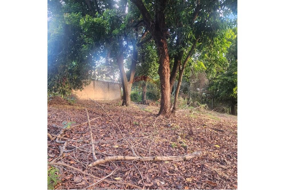 Terreno - Venda - Matozinhos , Minas Gerais - 7dccddac-8e99-425a-afd3-b78e30394935.jpeg - Quintal - 870241024-58