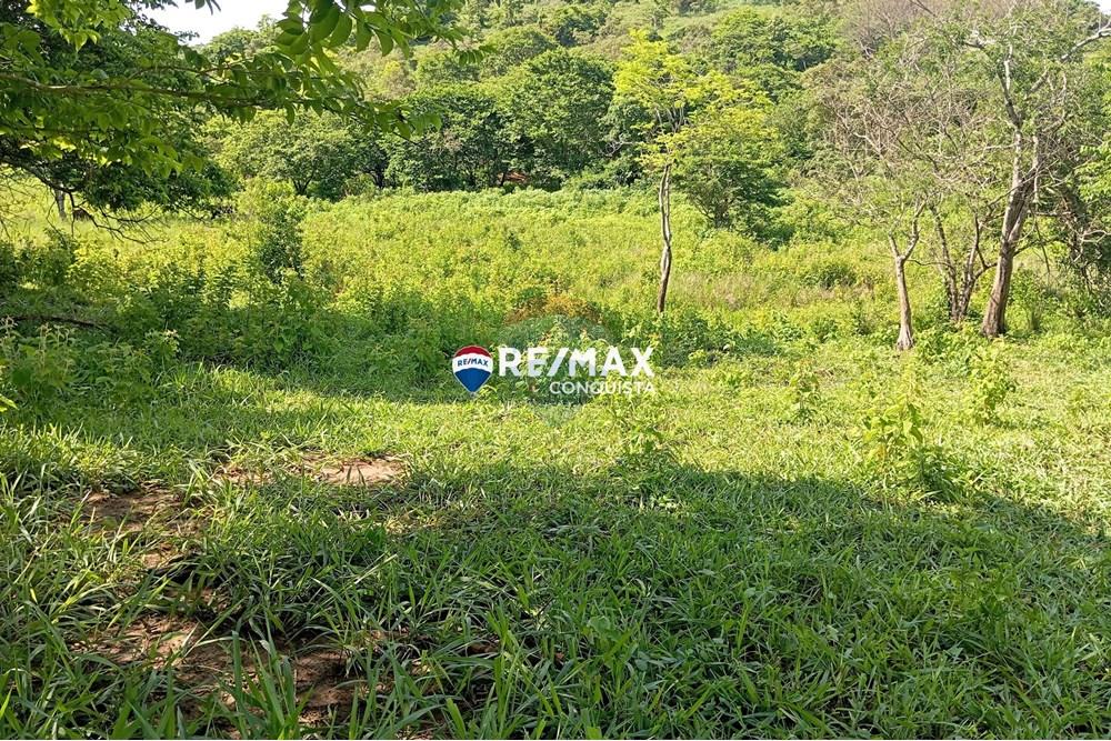 Chácara / Sítio / Fazenda - Venda - Pocrane , Minas Gerais - 3_IMG_20241203_082247_watermark_sex._13122024_134941.jpg - 870451001-114