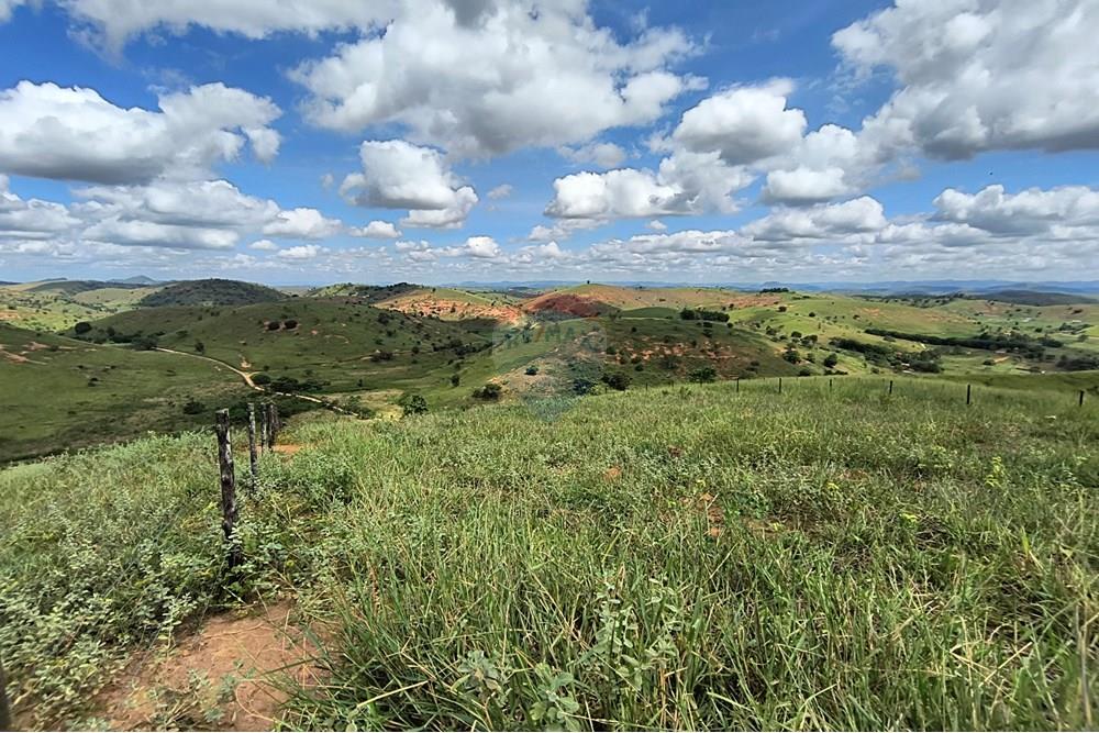 Chácara / Sítio / Fazenda - Venda - Governador Valadares , Minas Gerais - IMG_20250329_104619669_HDR.jpg - 870671027-7