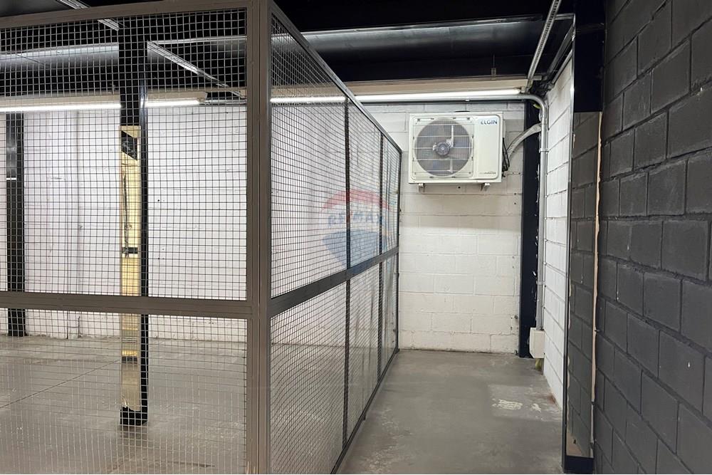 Galpão - Alugar - Belo Horizonte , Minas Gerais - 5 IMG_6439.jpg - 870241100-92