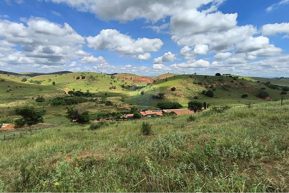 Chácara / Sítio / Fazenda - Venda - Governador Valadares , Minas Gerais - IMG_20250329_103540426_HDR.jpg - 870671027-7