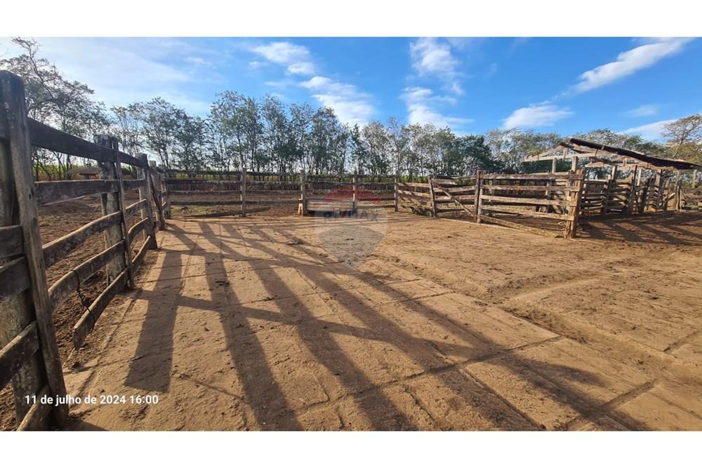 Chácara / Sítio / Fazenda - Venda - Uberaba , Minas Gerais -  (17).jpeg - 870291025-115