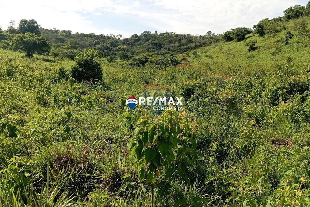 Chácara / Sítio / Fazenda - Venda - Pocrane , Minas Gerais - 1_IMG_20241203_082647_watermark_sex._13122024_135534.jpg - 870451001-114