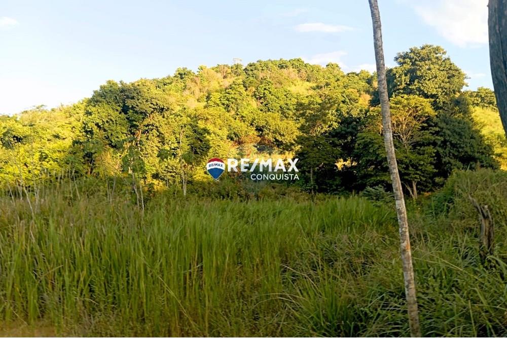 Chácara / Sítio / Fazenda - Venda - Pocrane , Minas Gerais - WhatsApp Image 2025-04-08 at 09.45.15(4).jpeg - 870451001-124