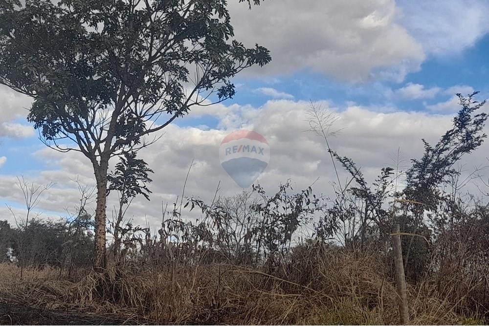Terreno - Venda - Belo Horizonte , Minas Gerais - 20250620_154536.jpg - 870411011-95