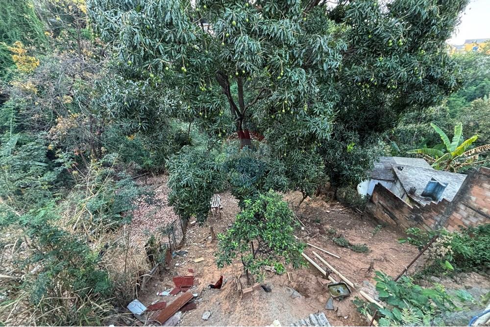 Casa - Venda - Belo Horizonte , Minas Gerais - IMG_4189.JPG - 870701012-8