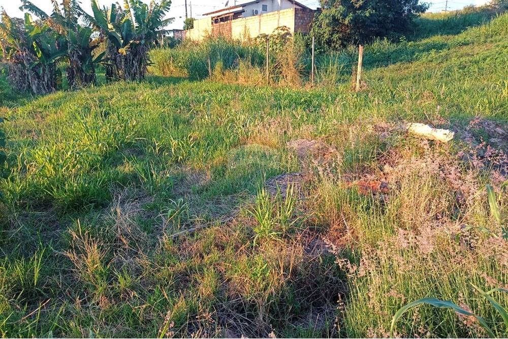 Terreno - Venda - Uberaba , Minas Gerais - 09.jpeg - 870291025-93