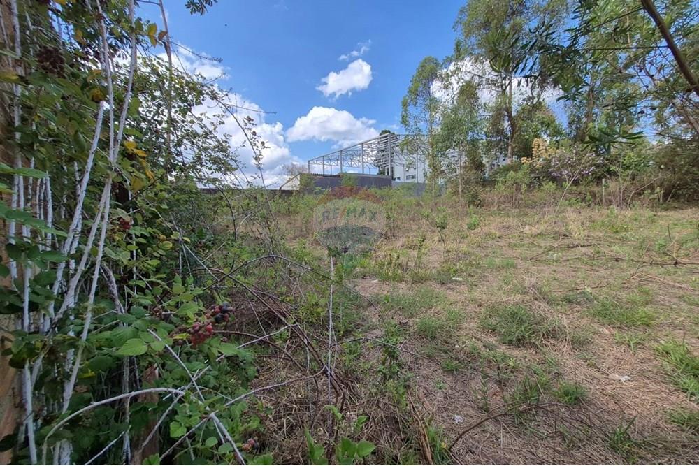 Terreno - Venda - Nova Lima , Minas Gerais - Foto 8.jpeg - 870421061-61