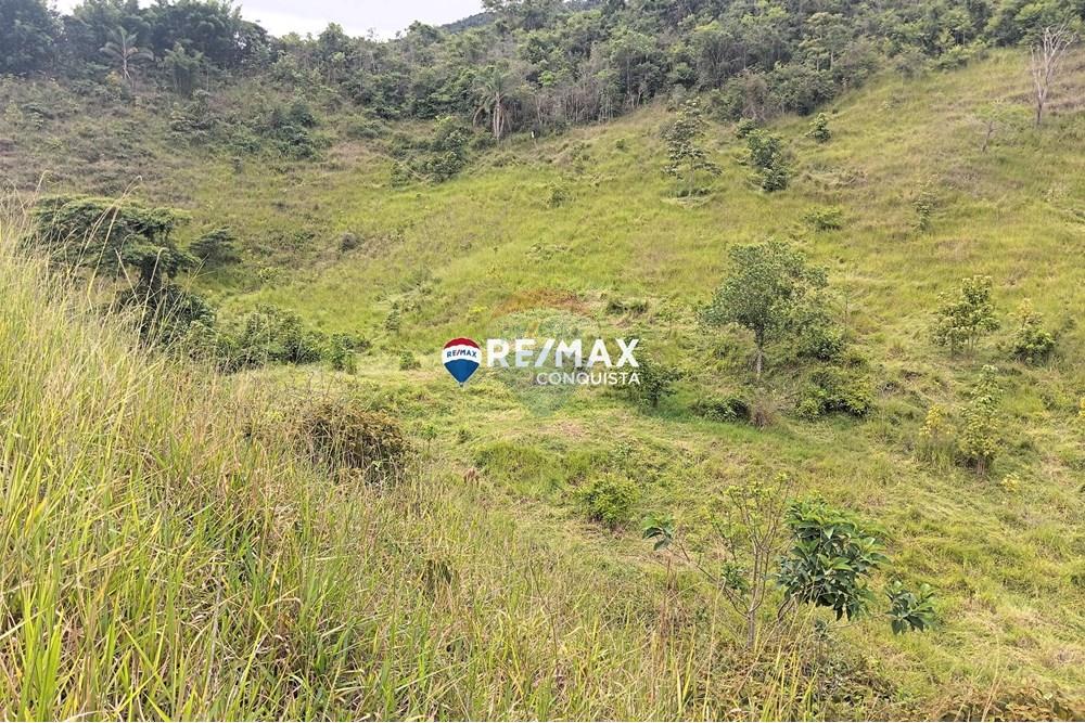 Chácara / Sítio / Fazenda - Venda - Conceição de Ipanema , Minas Gerais - 8_image_8_watermark_sáb._12042025_141819.jpg - 870451013-61