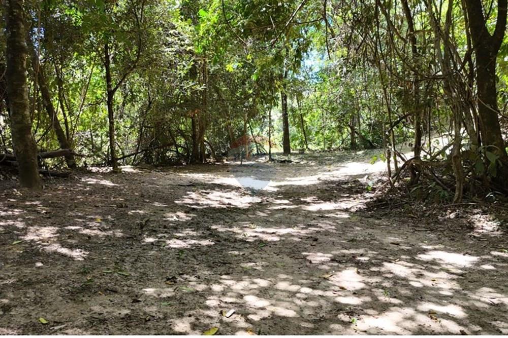 Chácara / Sítio / Fazenda - Venda - Delfinópolis , Minas Gerais - WhatsApp Image 2025-05-01 at 20.57.56.jpeg - 870721003-2