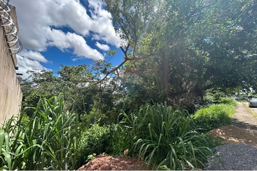 Terreno - Venda - Varginha , Minas Gerais - L_a2df3b53-b6d8-40ad-9769-9a6af8121912.jpg - 870641024-11