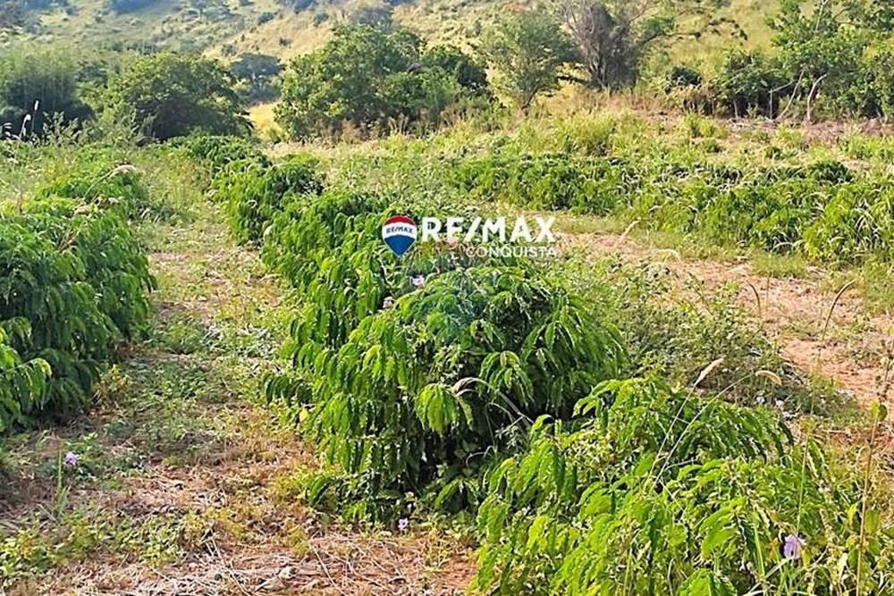 Chácara / Sítio / Fazenda - Venda - Ipanema , Minas Gerais - 8_IMG_20240515_085928_watermark_dom._23062024_100806.jpg - 870451001-121