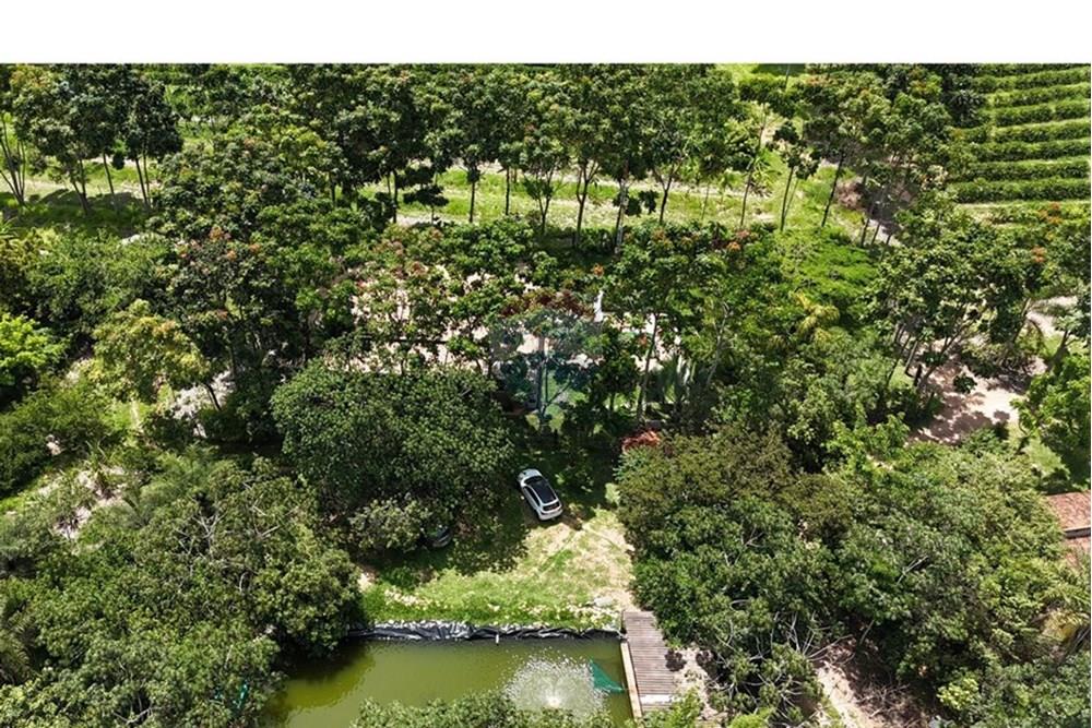 Chácara / Sítio / Fazenda - Venda - Araxá , Minas Gerais - FAZENDA 7.jpeg - 870431058-4