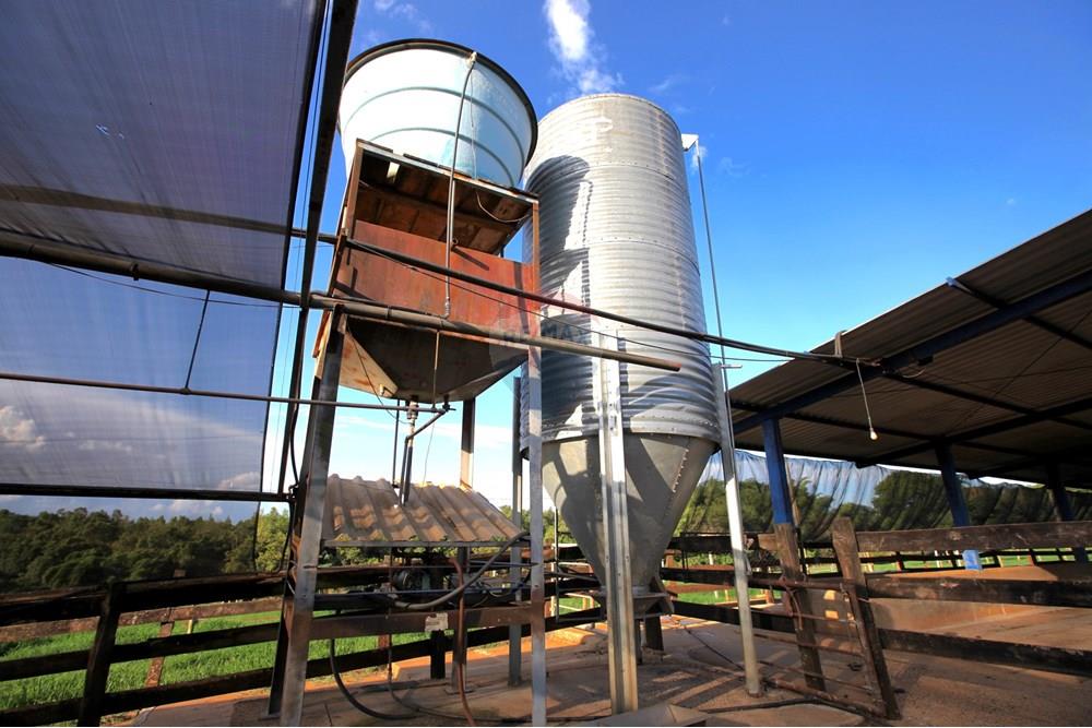 Chácara / Sítio / Fazenda - Venda - Araxá , Minas Gerais - IMG_2440.JPG - 870431039-25