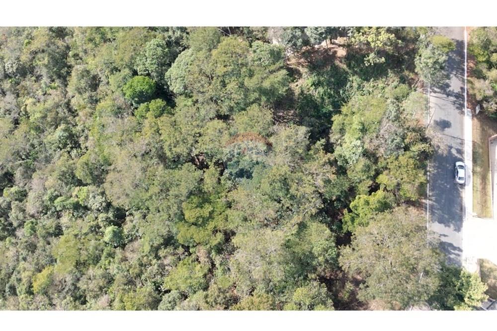 Terreno - Venda - Nova Lima , Minas Gerais - dji_fly_20250819_143312_677_1755688857272_photo.JPG - 870351059-18