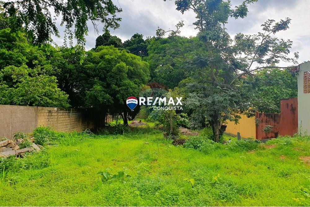 Terreno - Venda - Ipanema , Minas Gerais - 7_20241108_145859_watermark_sáb._09112024_094648.jpg - 870451001-107