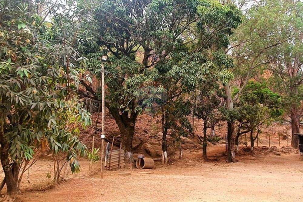 Chácara / Sítio / Fazenda - Venda - Nova Lima , Minas Gerais - Foto Sítio estrada da entrada campo do Pires.jpg - 870241097-13