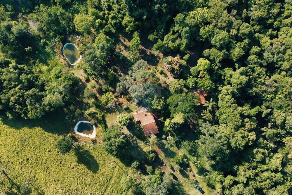 Chácara / Sítio / Fazenda - Venda - São Sebastião do Paraíso , Minas Gerais - c3.jpg - 870291002-306