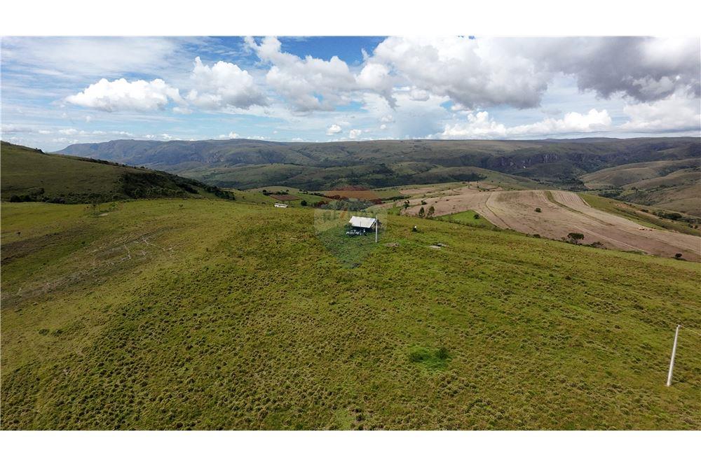 Fazenda - Venda - São Roque de Minas , Minas Gerais - 4 - 870431039-46
