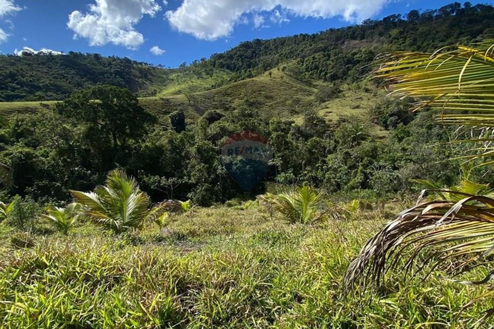 Terreno - Venda - Ipatinga , Minas Gerais - WhatsApp Image 2025-10-09 at 17.37.00.jpeg - 870711007-44