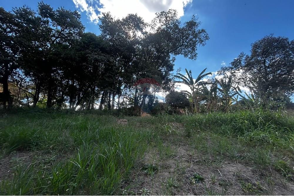 Chácara / Sítio / Fazenda - Venda - Sarzedo , Minas Gerais - lote13007.jpg - 870351054-22